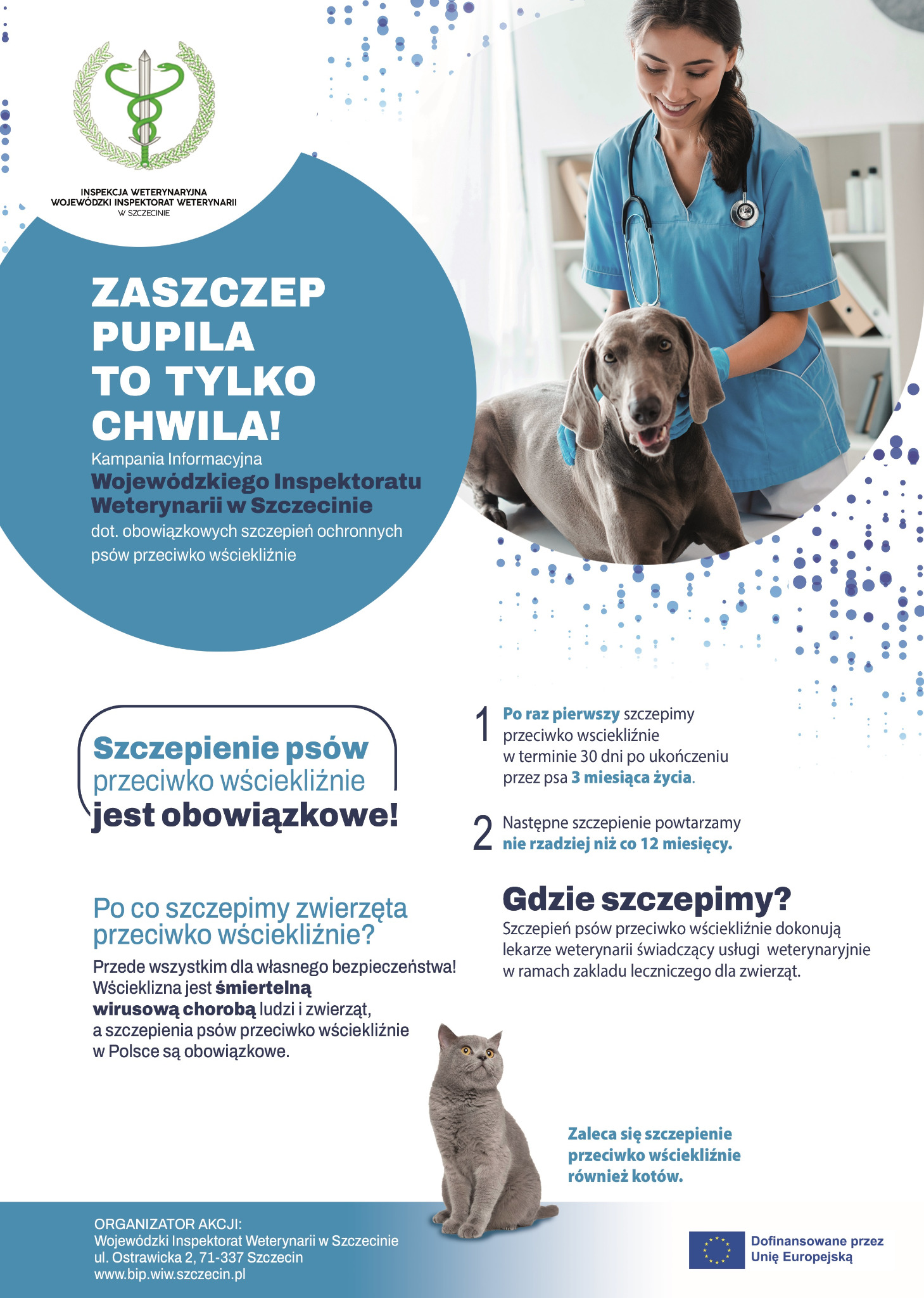plakat wścieklizna